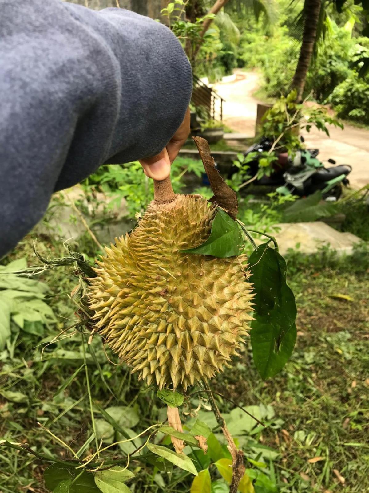 Phuchada Residence Nai Yang Bagian luar foto